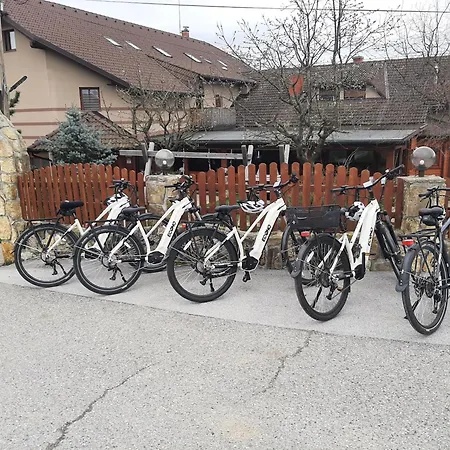 Posestvo Rozengrunt Pri Mihelicu Фермерский дом